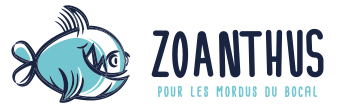 Logo Zoanthus.fr